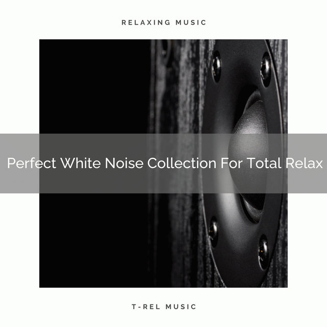 Perfect White Noise Collection For Total Relax