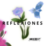 Reflexiones