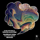Pandemic Poem (D-Nox & Beckers Remix)