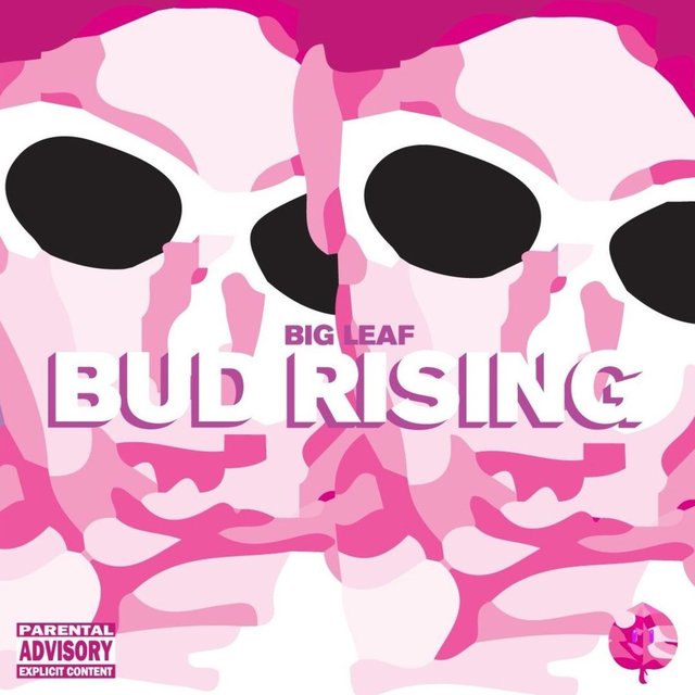 Bud Rising