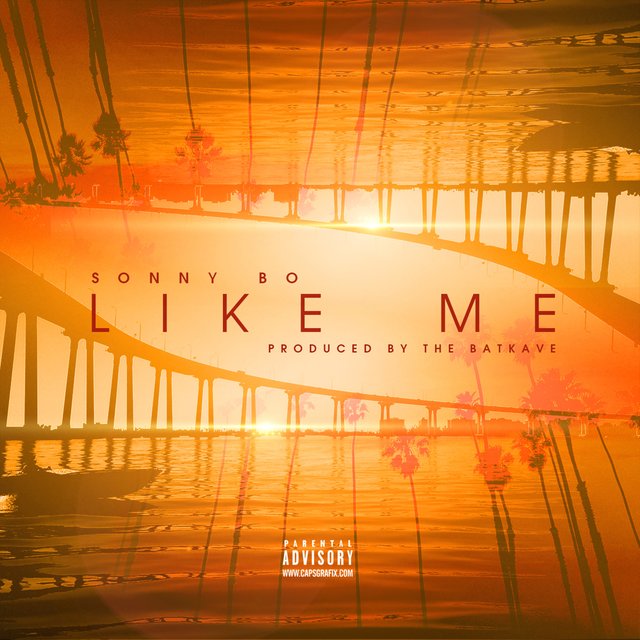 Like Me - Single