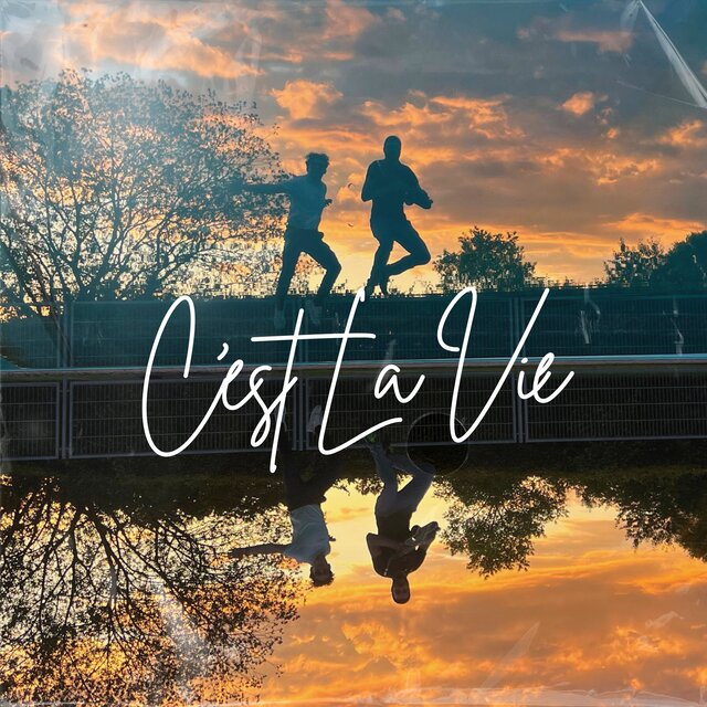 C´est la vie (Radio Edit)