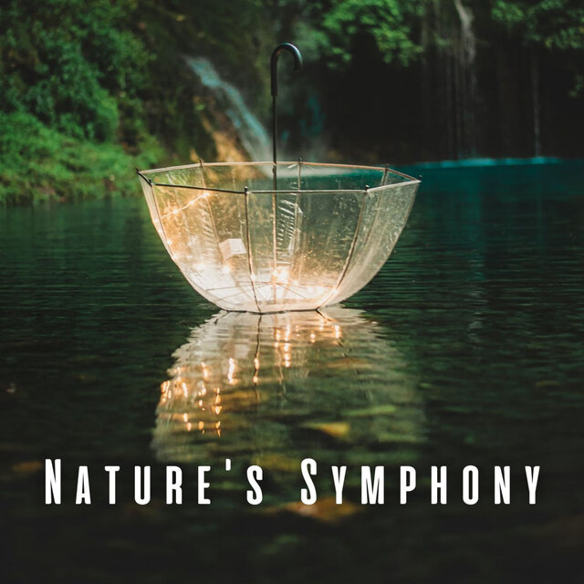 Nature's Symphony: Relaxation with Birds and Heavy Rain