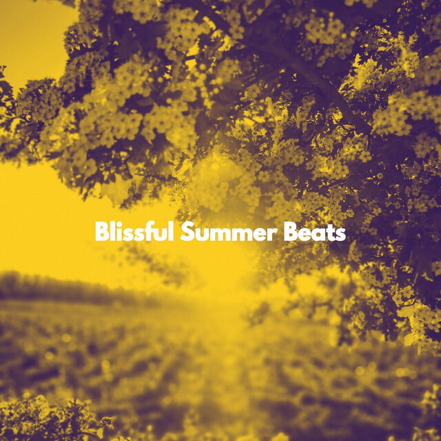 Blissful Summer Beats