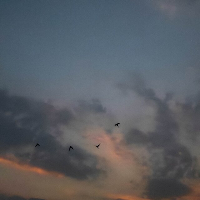 elsewhere