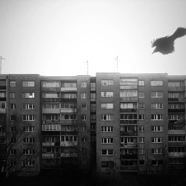 Bezdomni (feat. Jober)