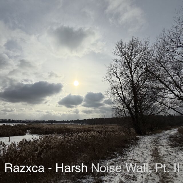 Harsh Noise Wall, Pt. II