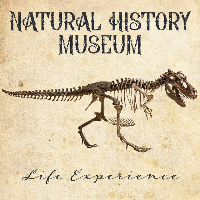 Natural History Museum Life Experience: A New Age Of Being