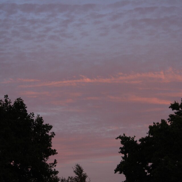 Harmonie du soir + á quand...