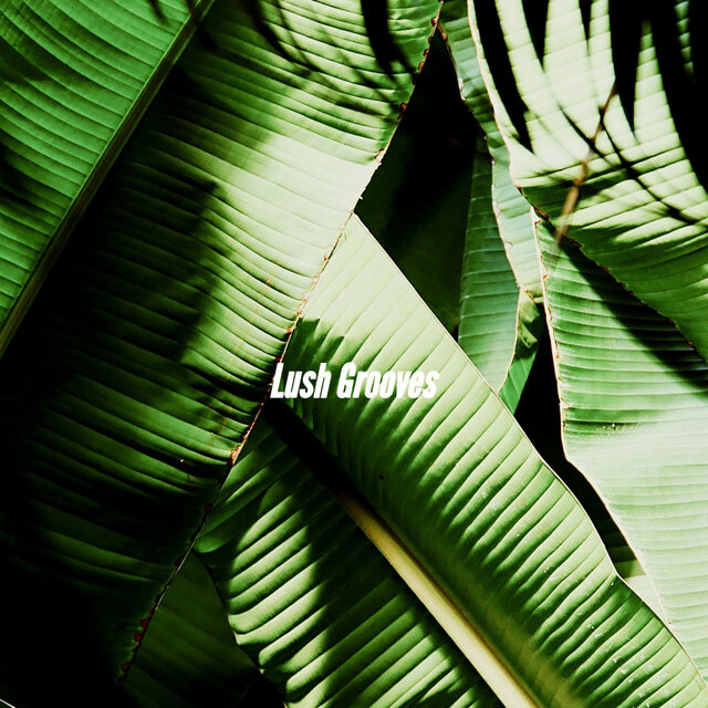 Lush Grooves