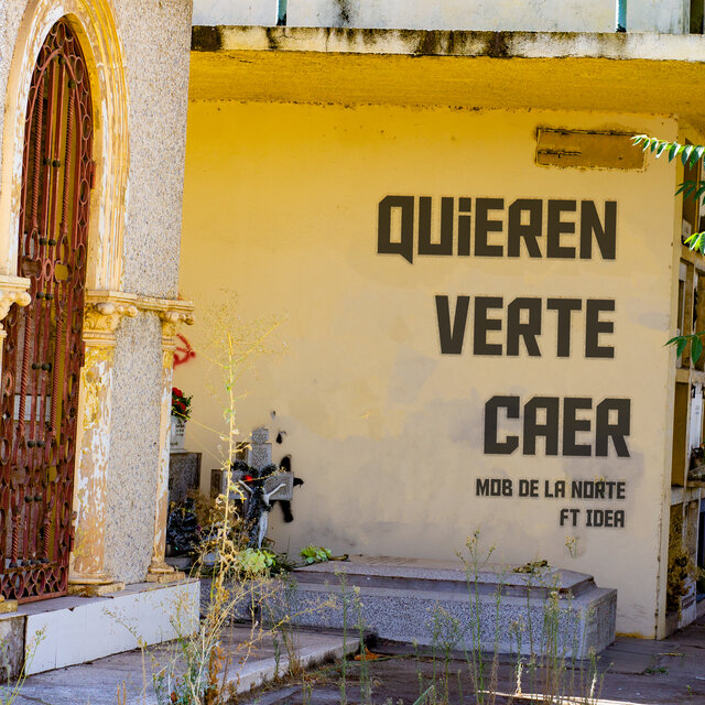 QUIEREN VERTE CAER