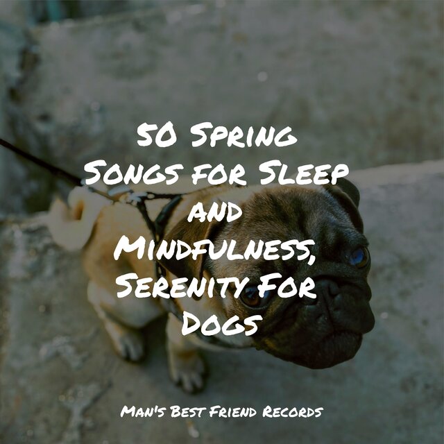 50 Spring Songs for Sleep and Mindfulness, Serenity For Dogs