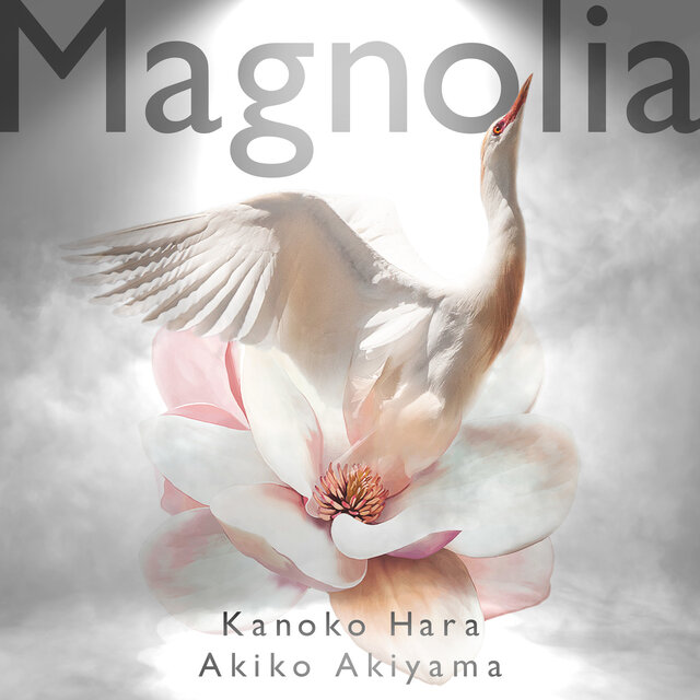 Magnolia