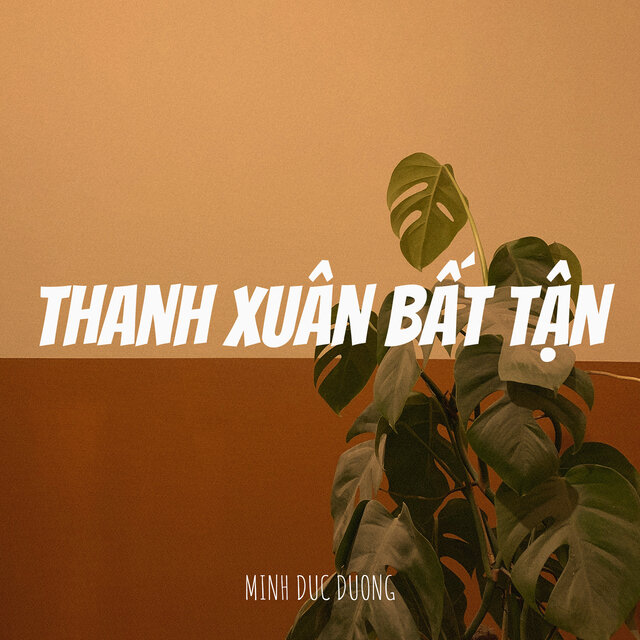 Thanh Xuân Bất Tận