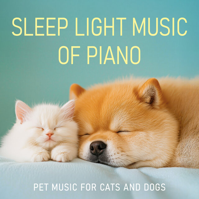Sleep Light Music of Piano: Pet Music for Cats and Dogs