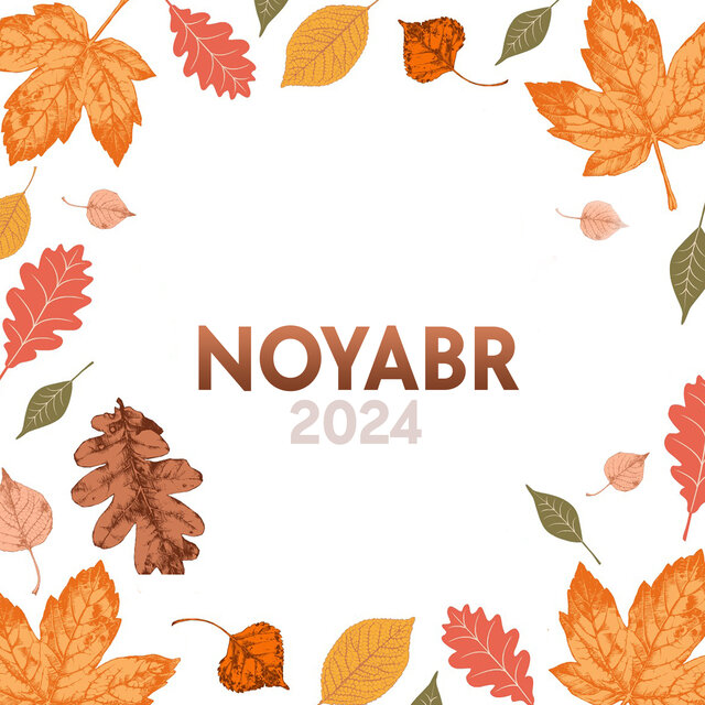 TOP noyabr RizaNova 2024
