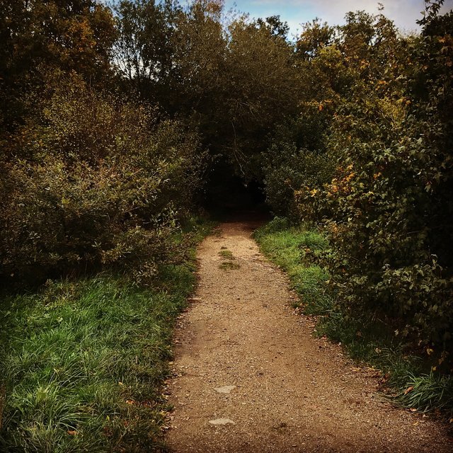 October In Twenty