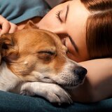 Huellas Suaves De Perritos