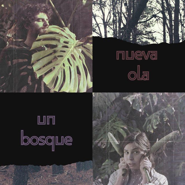 Un Bosque
