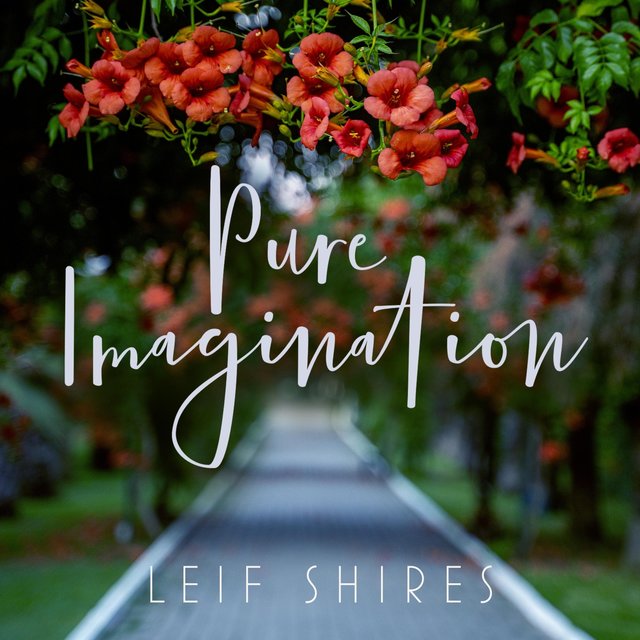 Pure Imagination