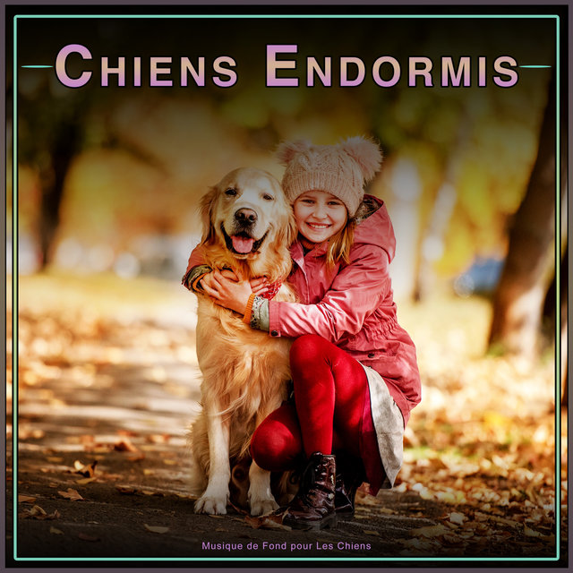 Chiens Endormis :  Musique de Fond pour Les Chiens
