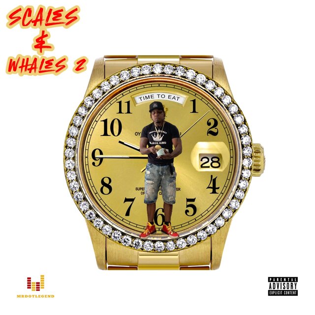 Scales & Whales 2