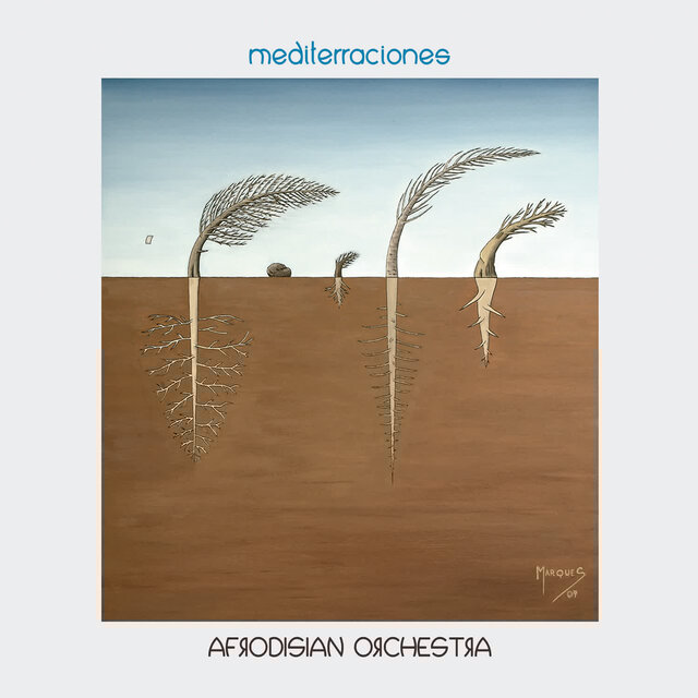 Mediterraciones