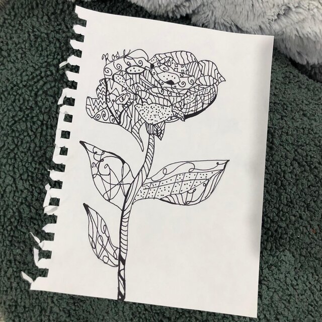 Rose
