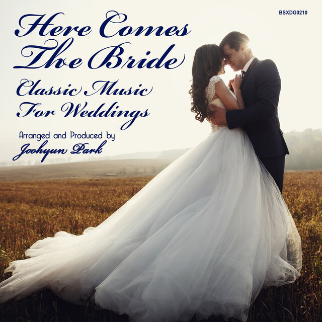 Here Comes The Bride: Classic Music For Weddings