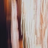 Seed