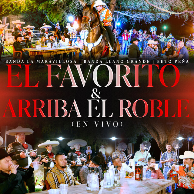 El Favorito & Arriba El Roble (En Vivo)