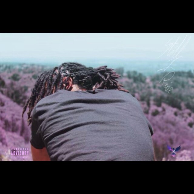 STILL I RISE