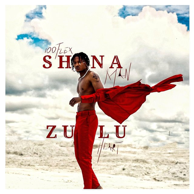 Shona Man, Zulu Heart