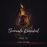 Thooneela Raavukal