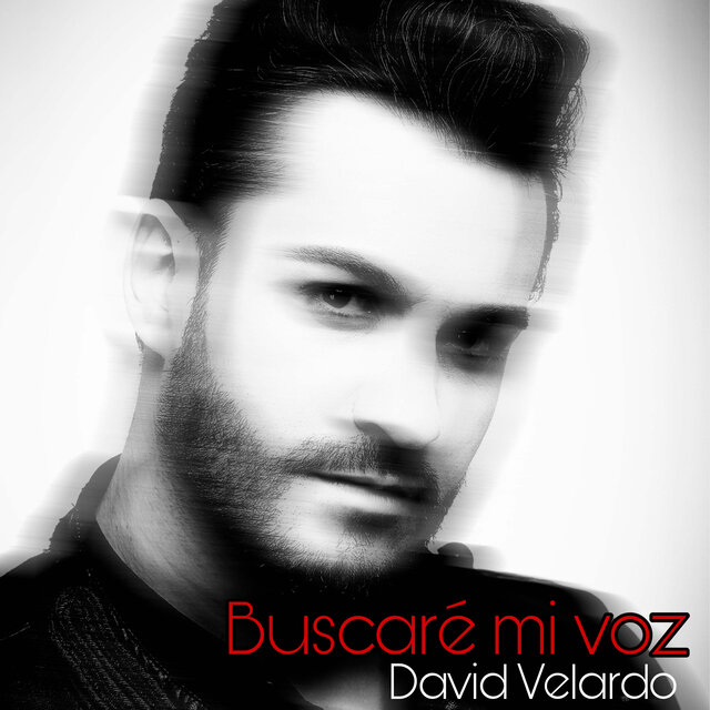 Buscaré Mi Voz