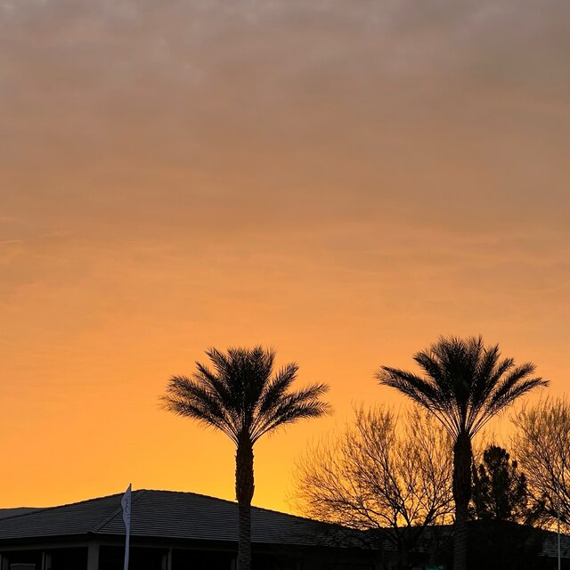 Sunset At The Park (Freestyle)