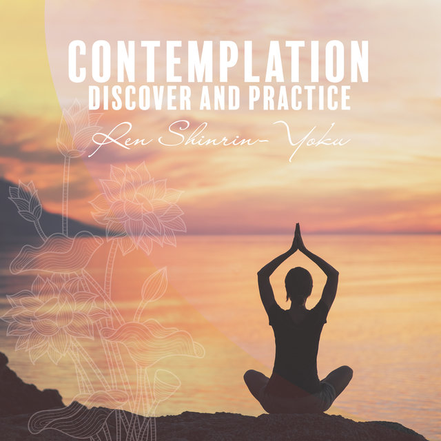 Contemplation (Discover and Practice)