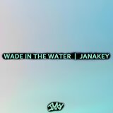 Wade in the Water