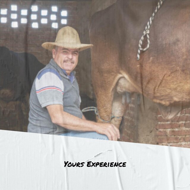 Yours Experience