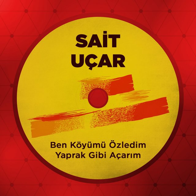 Ben Köyümü Özledim Yaprak Gibi Açarım