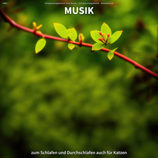 #001 Musik zum Schlafen und Durchschlafen auch für Katzen