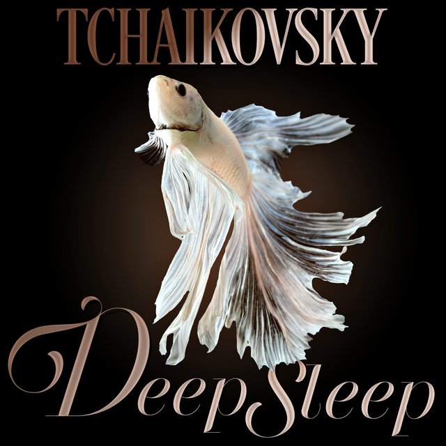 Tchaikovsky Deep Sleep