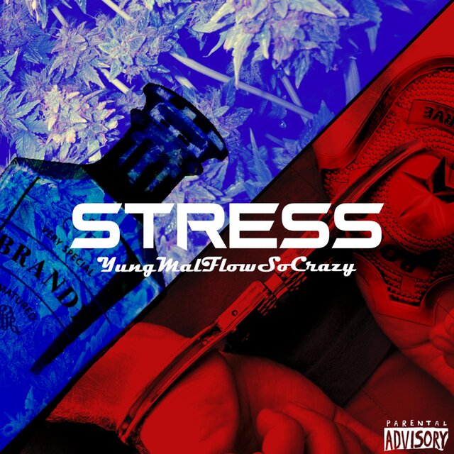 Stress