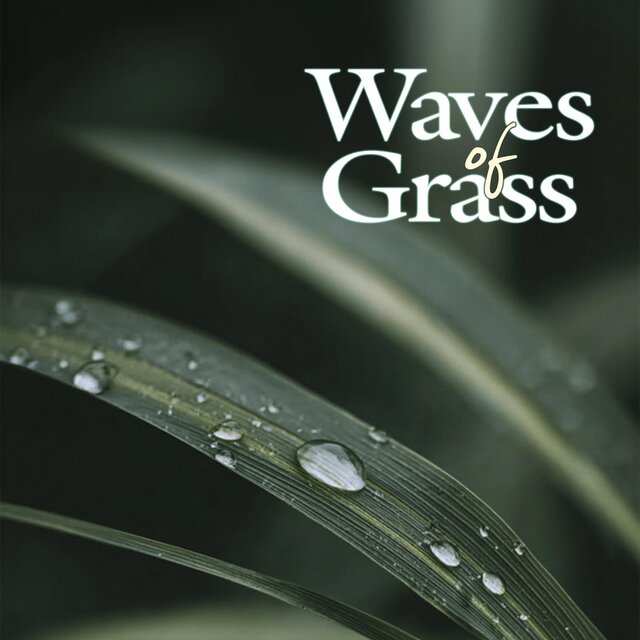 Waves of Grass