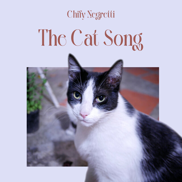 The cat song