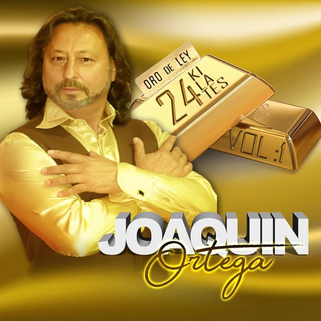 Oro de Ley 24 Kilates, Vol. 1