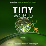 Tiny Wonders