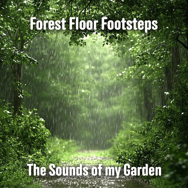 Forest Floor Footsteps
