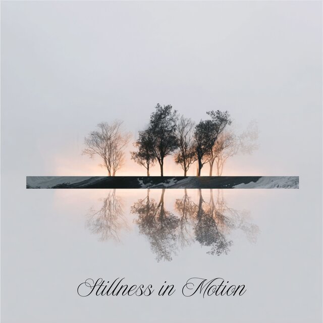 Stillness in Motion