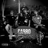 Carro Bicho